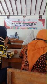 PEMBENTUKAN DAN PEMBEKALAN RELAWAN PENDATA SDGs